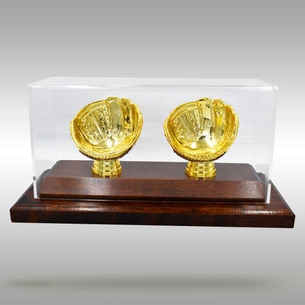 Gold Glove Baseball Case - 2 baseballs