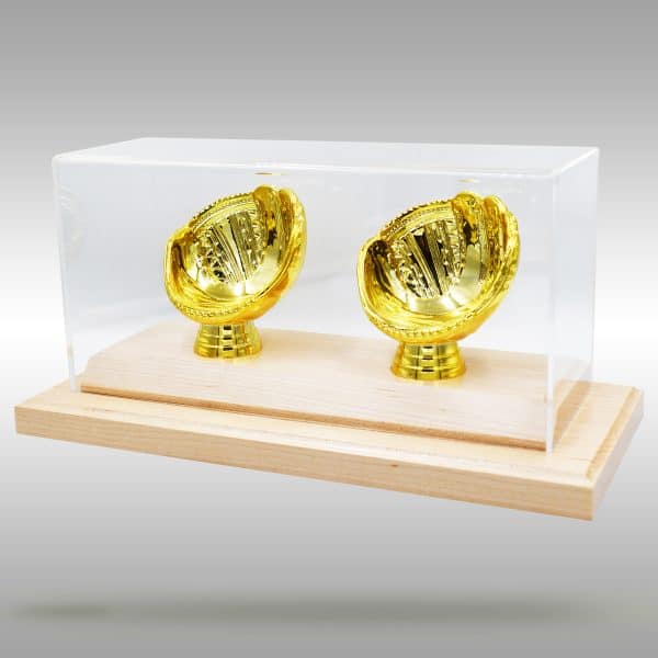 Gold Glove Baseball Case - 2 baseballs